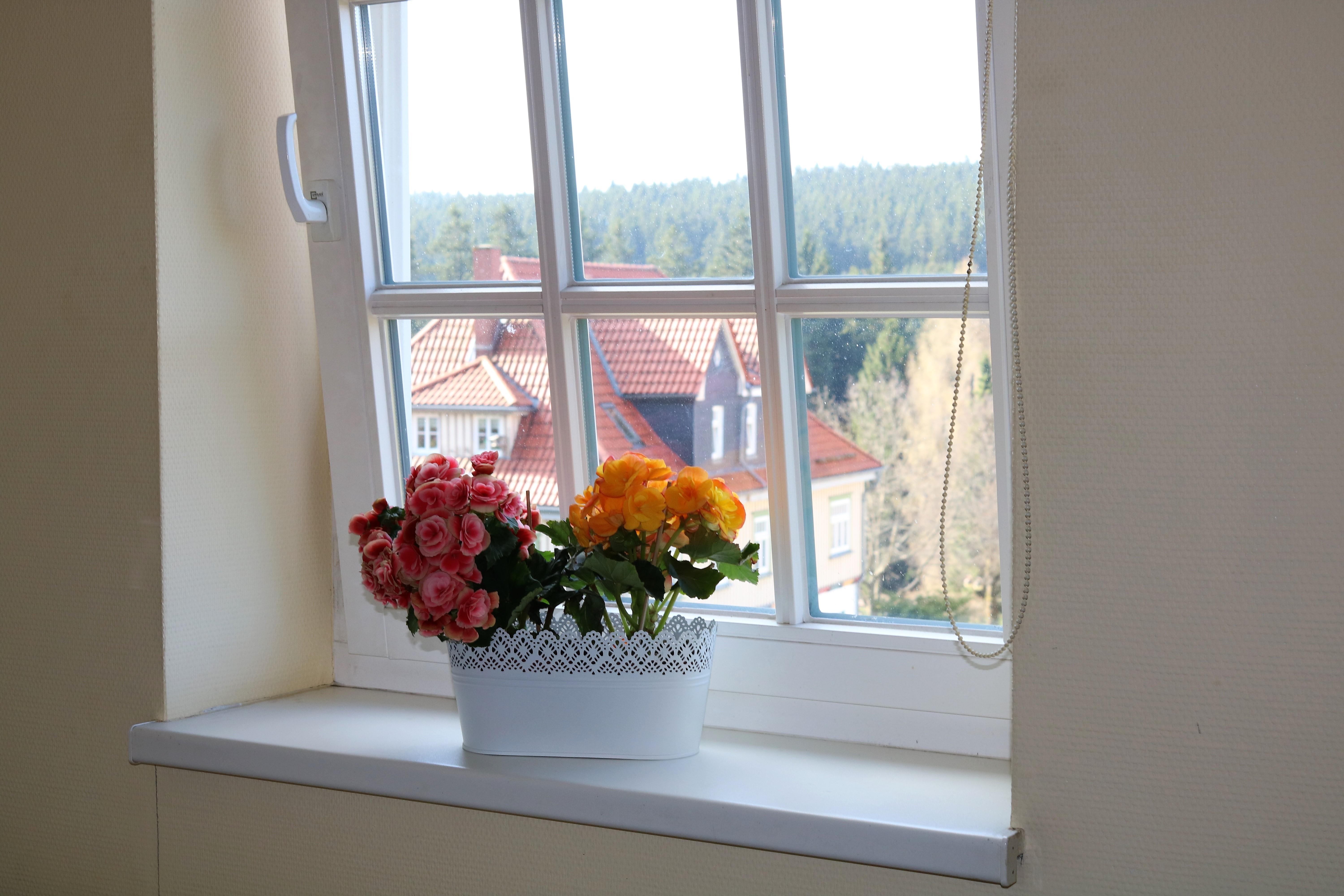 Regiohotel Am Brocken Ширке Екстериор снимка