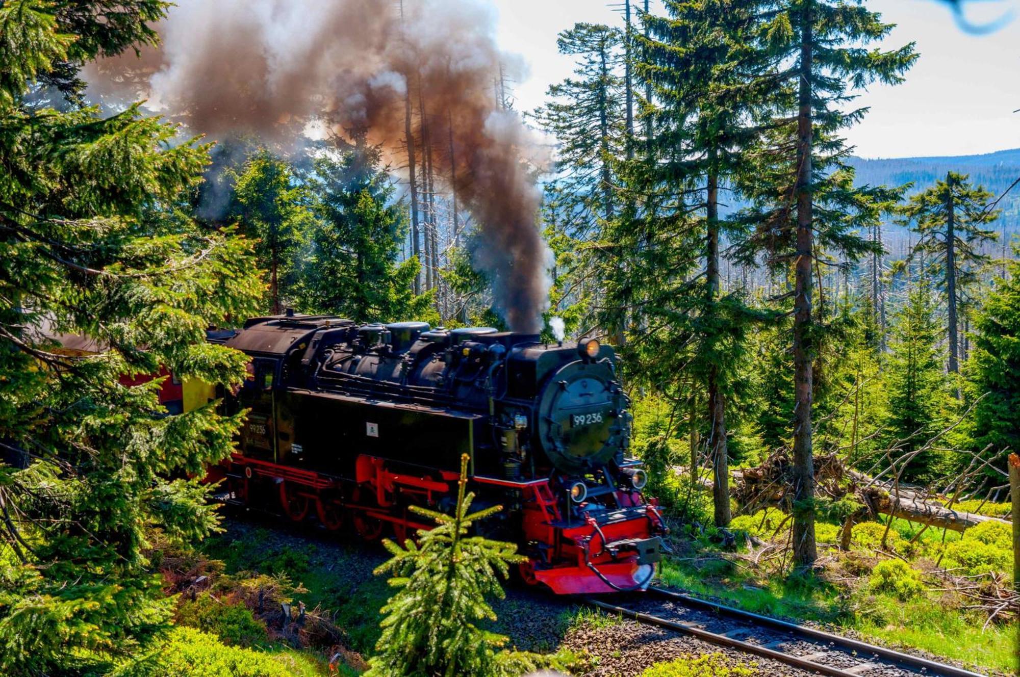 Regiohotel Am Brocken Ширке Екстериор снимка